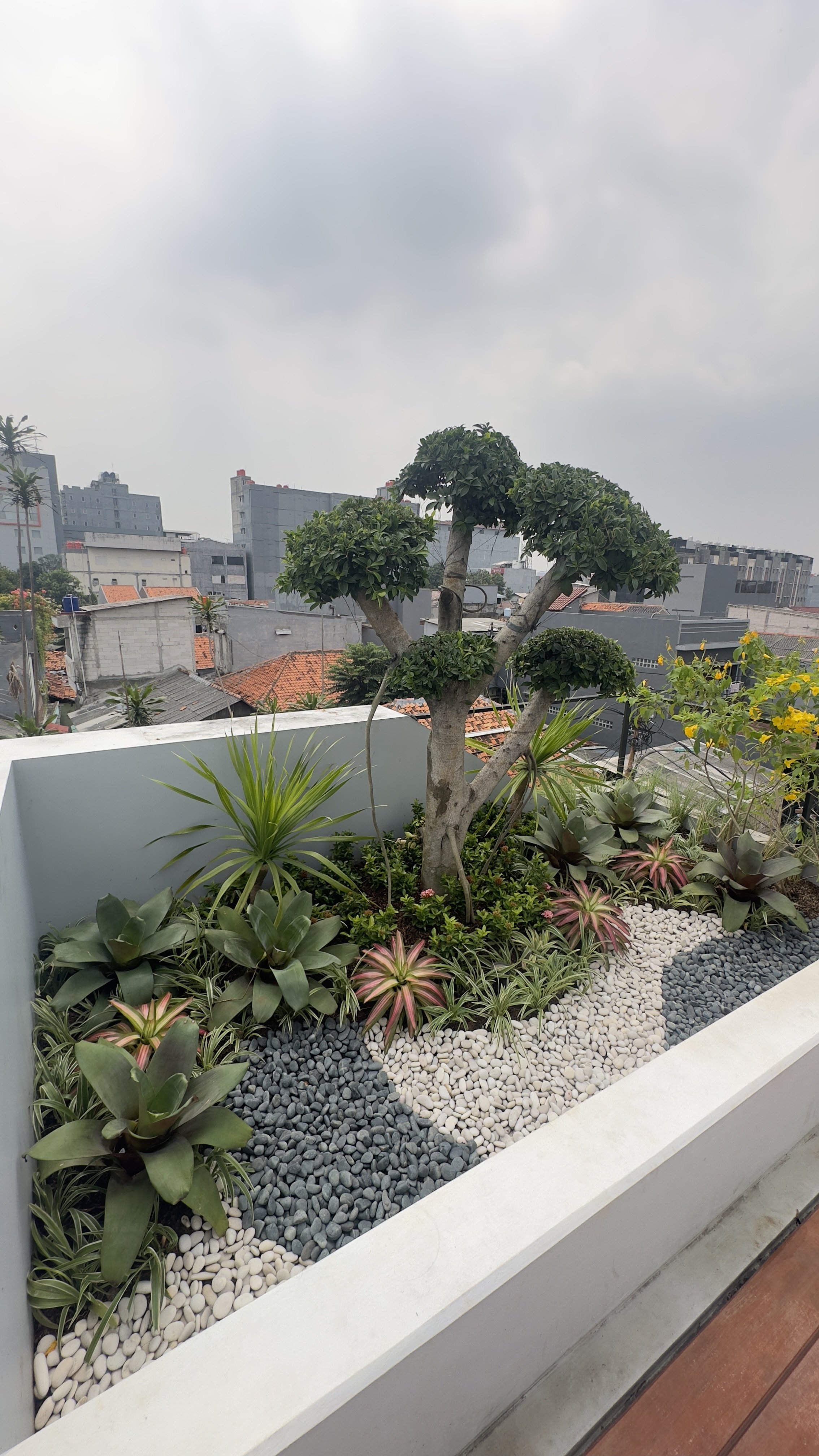 Vertical Garden Synchronize Fest