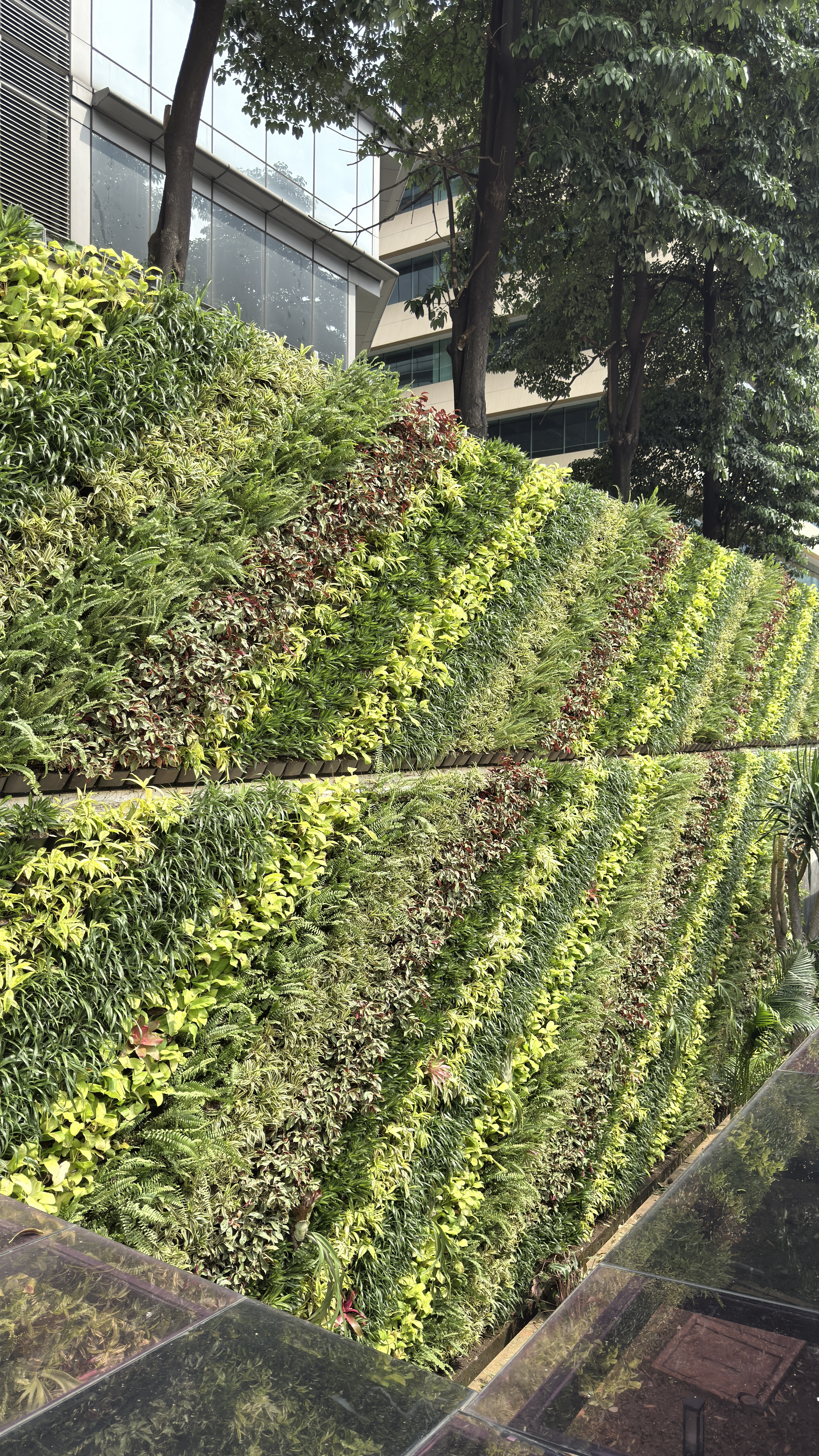Vertical Garden Synchronize Fest